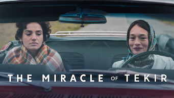 The Miracle of Tekir (2015)